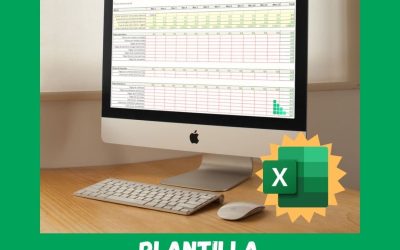 Plantilla Flujo de Caja