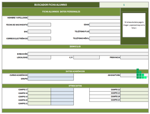 Comprar Plantilla Excel Ficha Alumno - Imagen 2